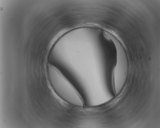 X0000062851054200601272036