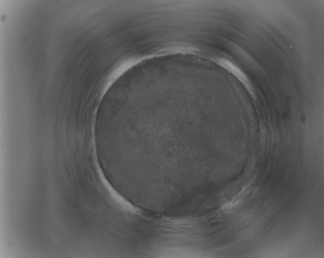 X0000062851055200601272036