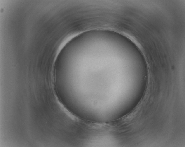 X0000062851056200601272036