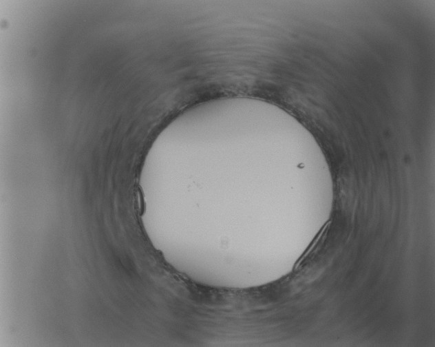 X0000062851057200601272036