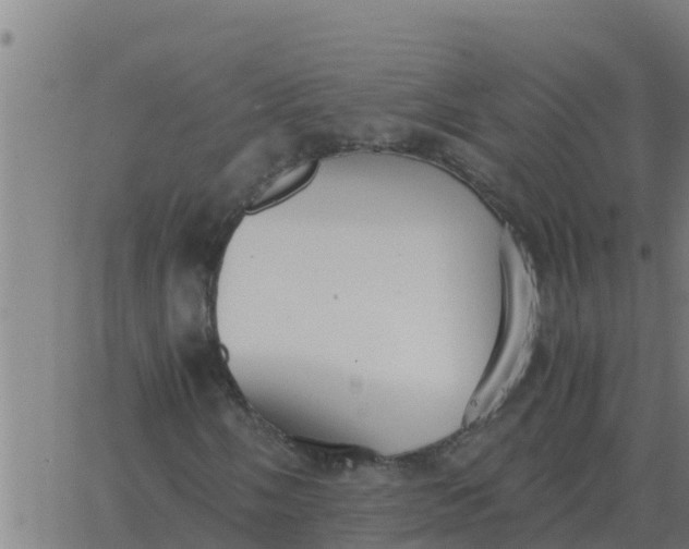 X0000062851058200601272036