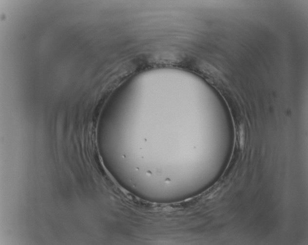 X0000062851059200601272036