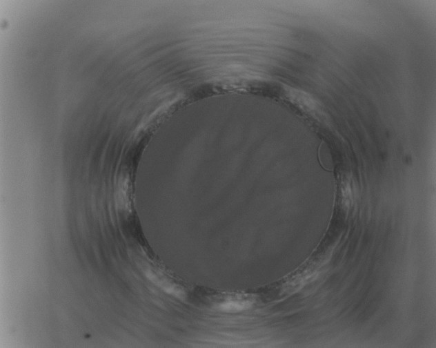 X0000062851060200601272036