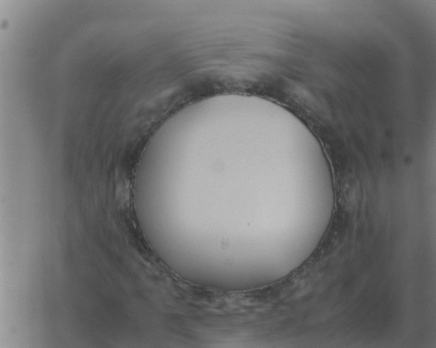 X0000062851061200601272036