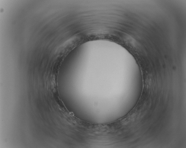 X0000062851062200601272036