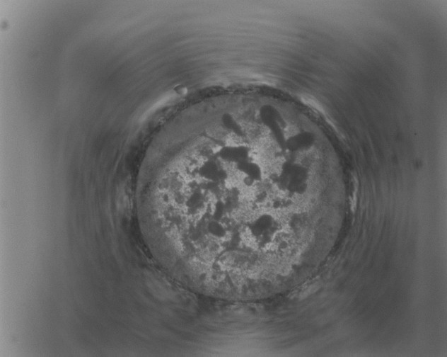 X0000062851063200601272036