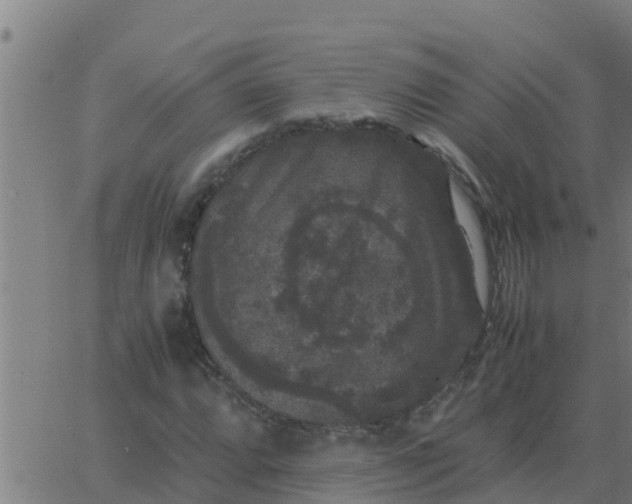 X0000062851064200601272036