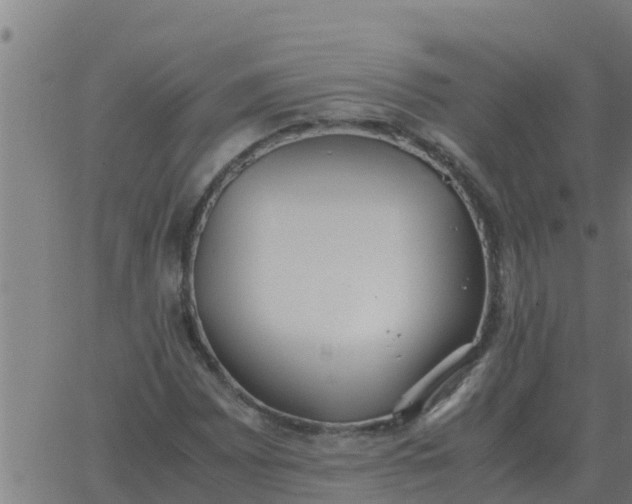 X0000062851065200601272036