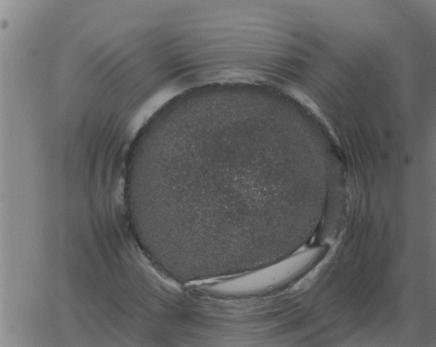 X0000062851066200601272035