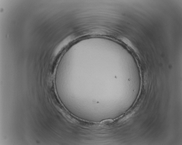 X0000062851067200601272035