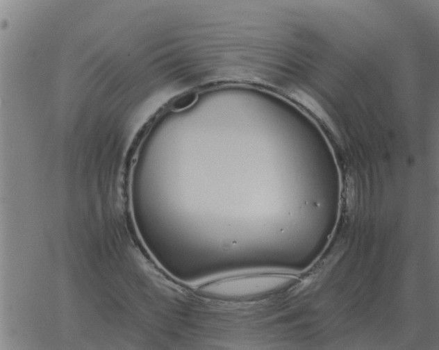 X0000062851068200601272035