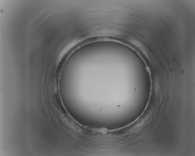 X0000062851069200601272035