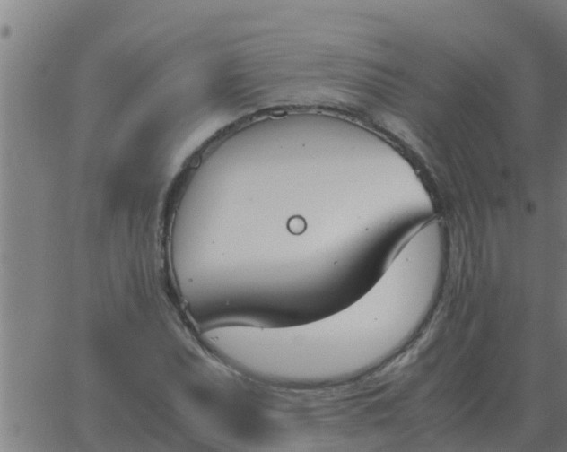 X0000062851071200601272035