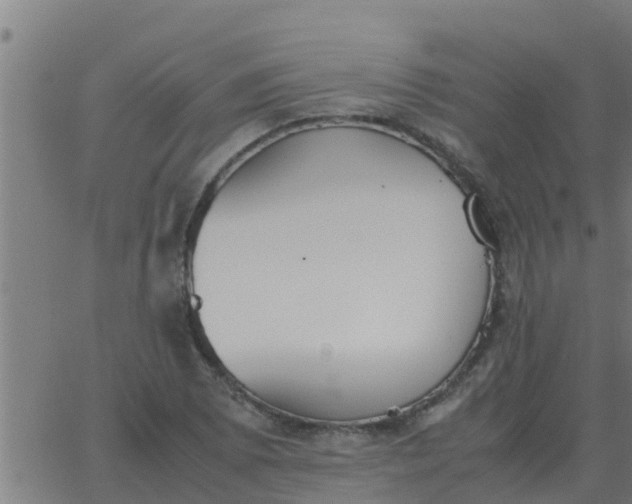 X0000062851073200601272035