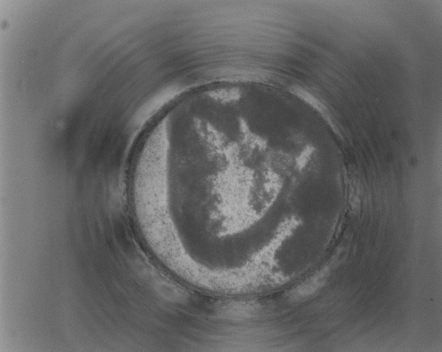 X0000062851074200601272035