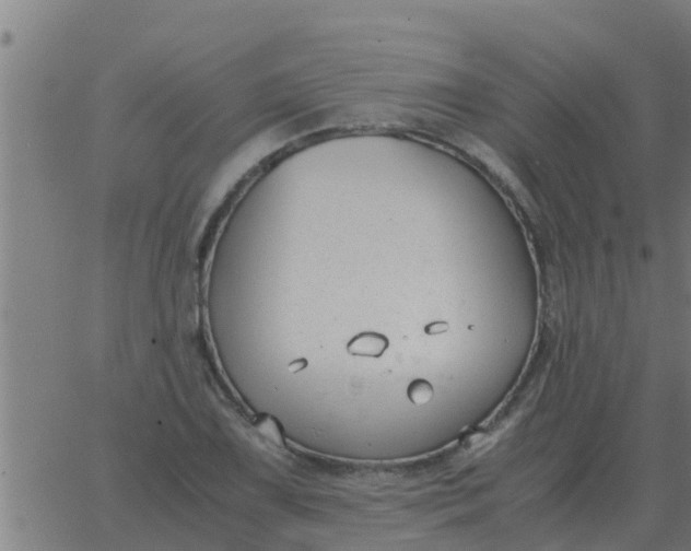 X0000062851075200601272035