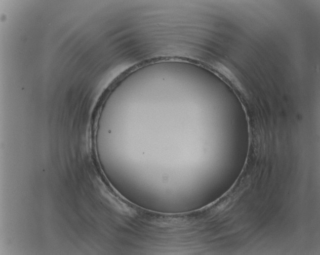 X0000062851076200601272035