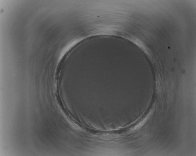 X0000062851077200601272035