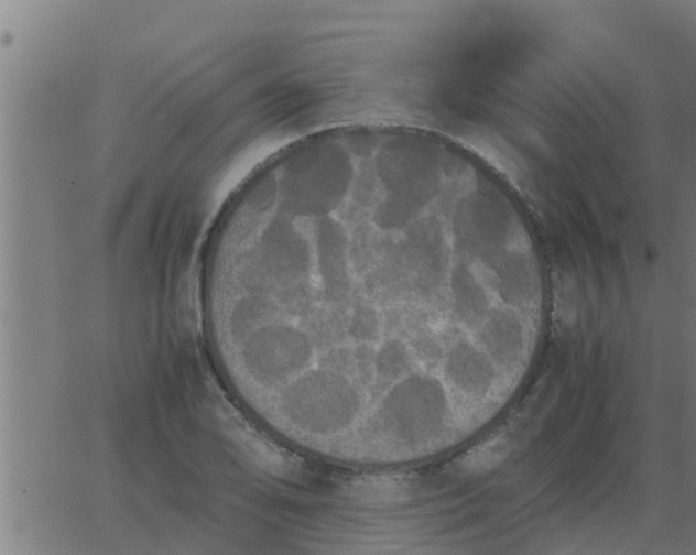 X0000062851078200601272035