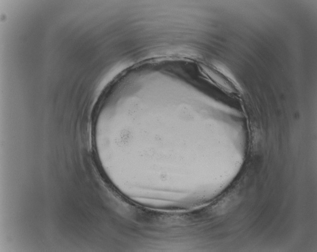 X0000062851079200601272035