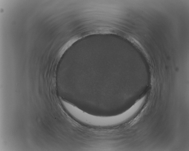 X0000062851081200601272035