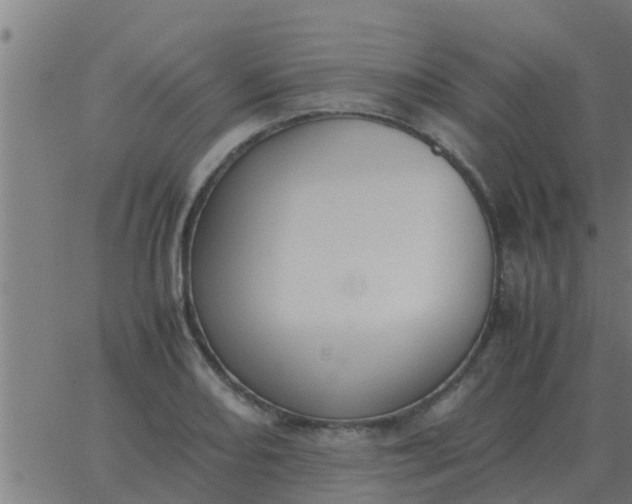 X0000062851082200601272035