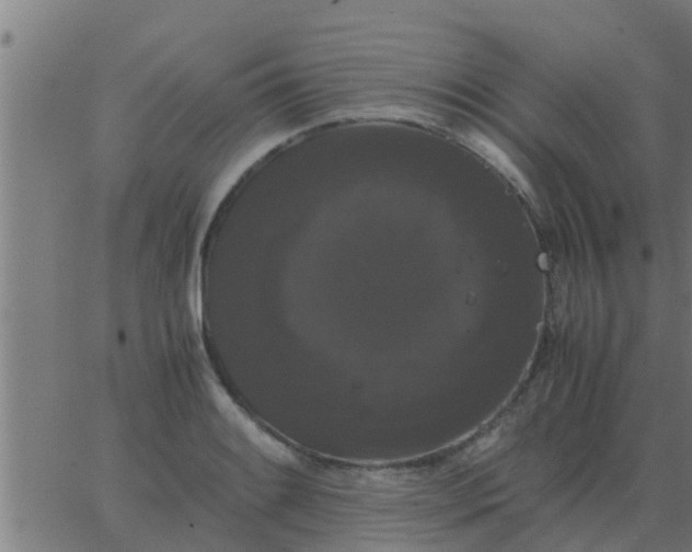 X0000062851084200601272035