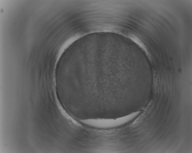 X0000062851088200601272035