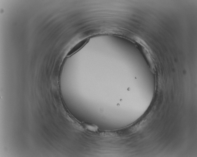 X0000062851089200601272035