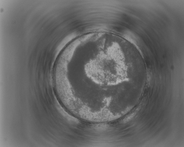 X0000062851090200601272035