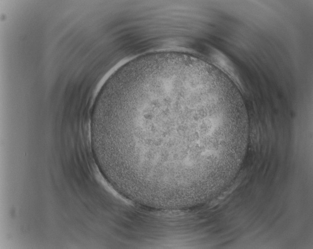 X0000062851092200601272035