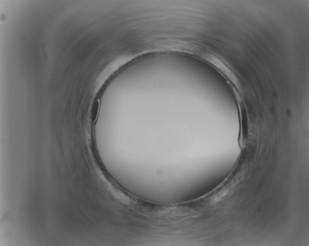 X0000062851093200601272035