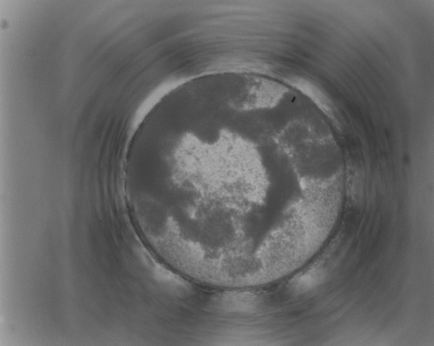 X0000062851094200601272035