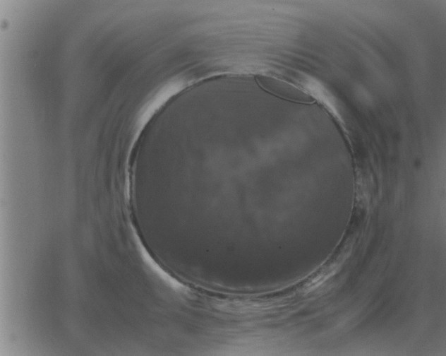 X0000062851095200601272035