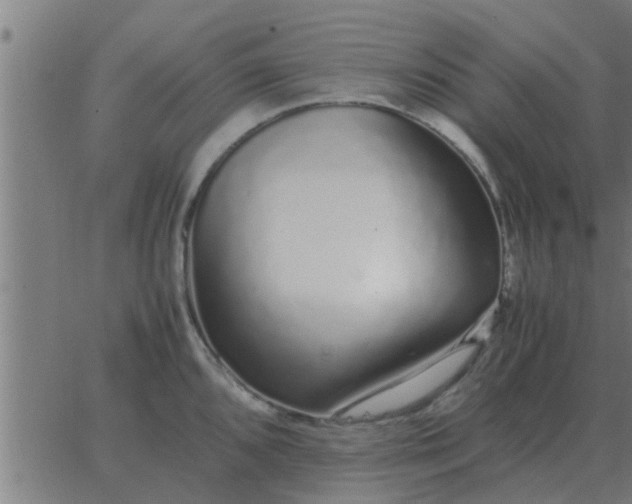 X0000062851096200601272035