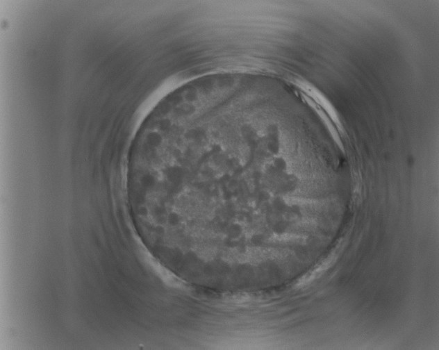 X0000062851099200601272035