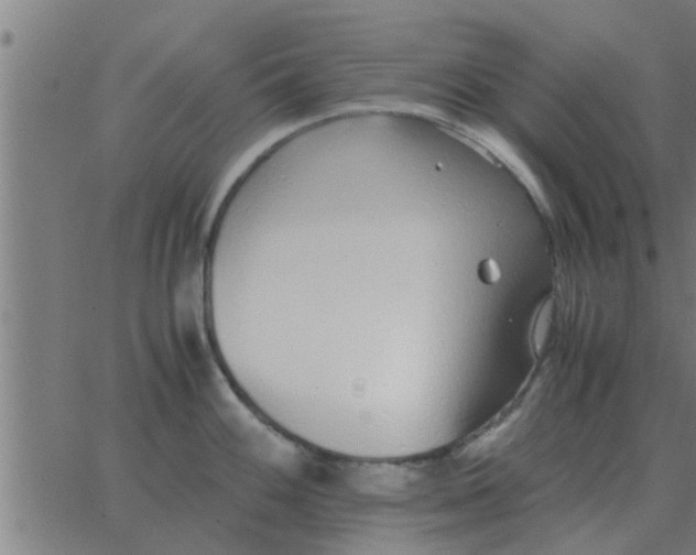 X0000062851100200601272035