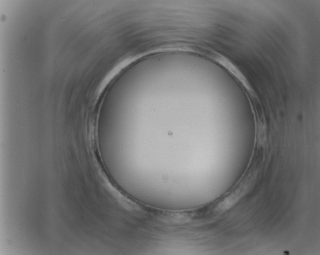 X0000062851101200601272035