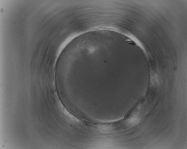 X0000062851102200601272035