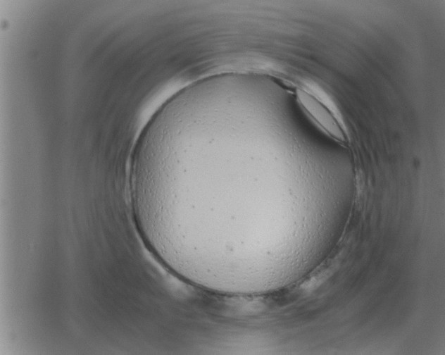 X0000062851103200601272035