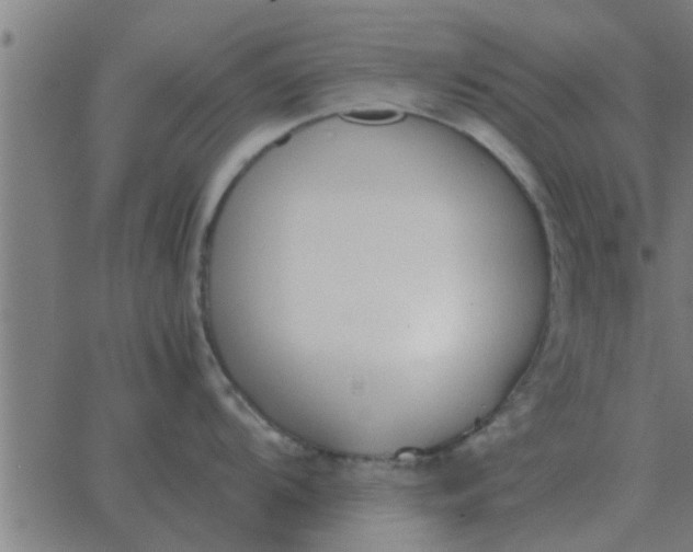 X0000062851104200601272035