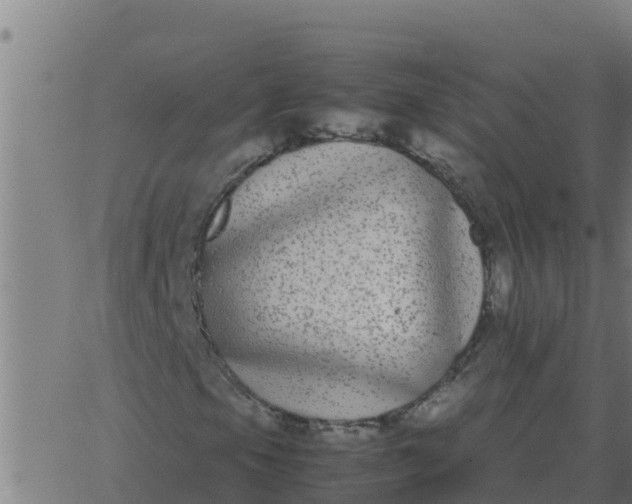 X0000062851105200601272034