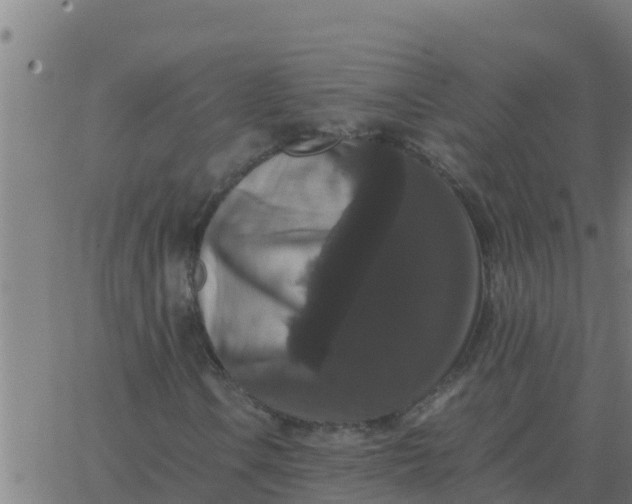 X0000062851106200601272034