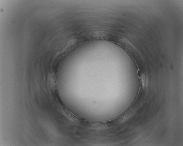 X0000062851107200601272034