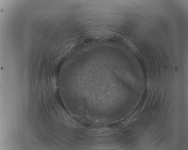 X0000062851108200601272034