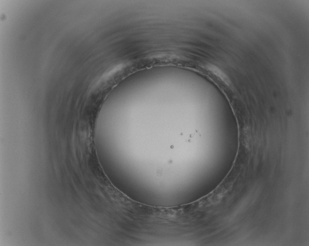 X0000062851111200601272034