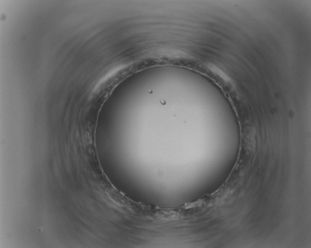 X0000062851112200601272034