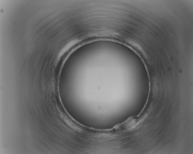 X0000062851114200601272034