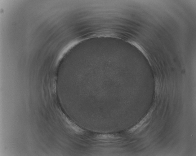 X0000062851115200601272034