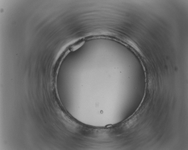 X0000062851116200601272034